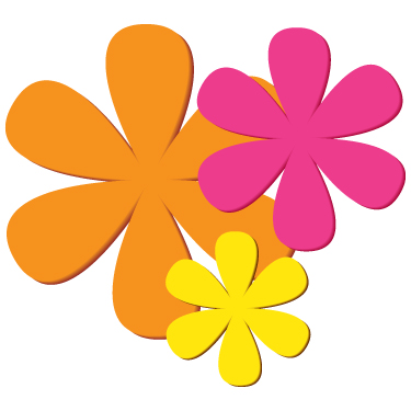 Rani Golden Sella Rice 10 lbs